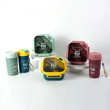 SET LUNCH BOX A COMPARTIMENT ET BOUTEILLE ALIMENTAIRE EN PVC ≡ MINIMALL