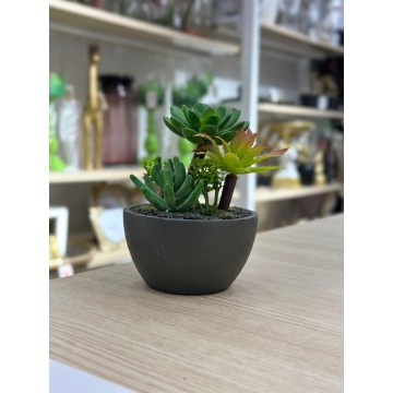 PLANTE DECORATIVE EN PLASTIQUE 16CM ≡ MINIMALL