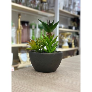 PLANTE DECORATIVE EN PLASTIQUE 16CM ≡ MINIMALL