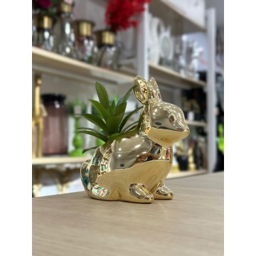 PLANTE DECORATIVE EN...